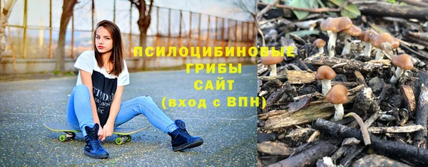 ALPHA PVP Алексин
