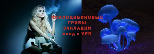 spice Нягань