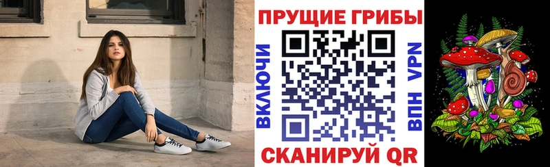 Псилоцибиновые грибы прущие грибы  Полевской 