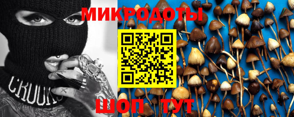 Полевской  Галлюциногенные грибы Cubensis  Вход с VPN  Псилоцибиновые грибы прущие грибы 